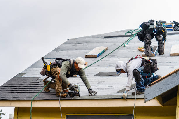 Professional Roof Replacement technician working in Nevada City, CA